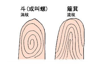 几个簸箕几个斗的人最容易成功,出人头地,一世荣华