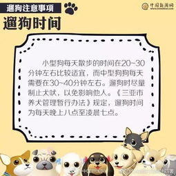 中国的文明养犬,就是根本不想让你养犬