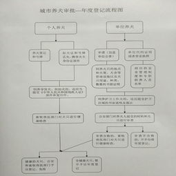 济南狗证年审流程 图