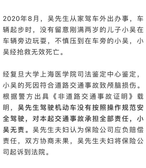 吴先生碾死2岁儿子,起诉保险公司的原因都有哪些 (被保险人撞死自己儿子)