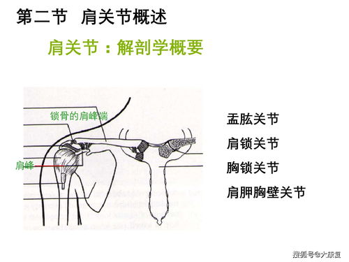 称骨算命解释详细白话文