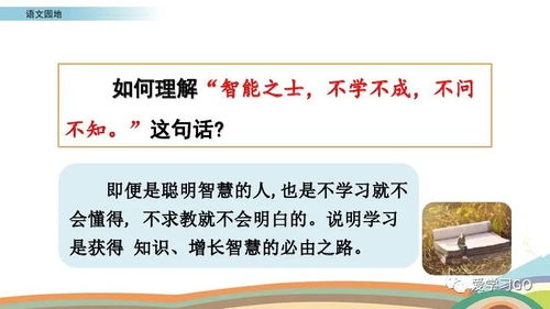 部编版四年级上册 语文园地二 图文讲解 知识要点