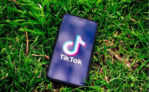 TikTok电商与跨境电商发展趋势_Tiktok买 赞