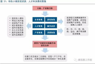 特色小镇开发运营国内有哪些企业