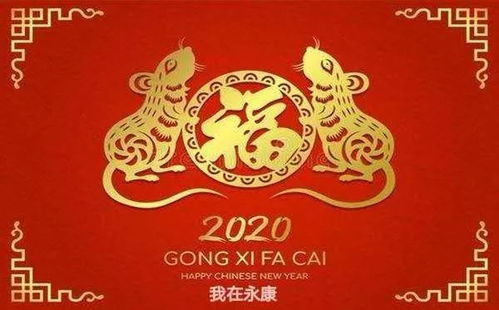 我在永康祝您 2020身体健康 鼠年大吉