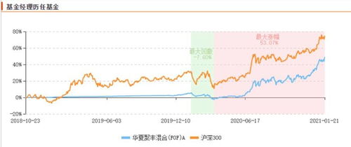 华夏基金有那些重苍股票