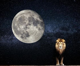 狮子座 过了太阳 月球的纳克夏特拉斯,将产生好坏参半的结果 月亮 