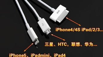 iPhone4的数据线接口叫什么 可以转换成别的常有的接口吗