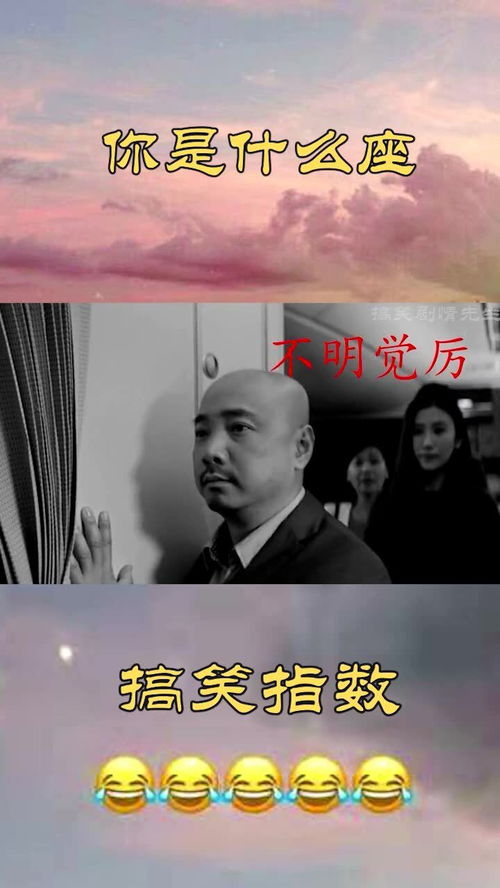 我也是天蝎座的,你是什么座 