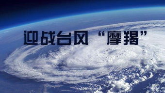 台州启动防台风Ⅱ级应急响应 滚动更新 摩羯 最新路径