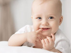 宝宝长牙期,哪些食物可以让宝宝磨牙 