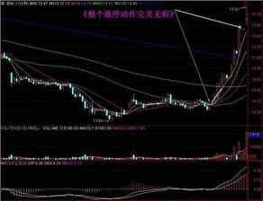 15分钟或者30分种实时预警的股票软件谁知道有哪些