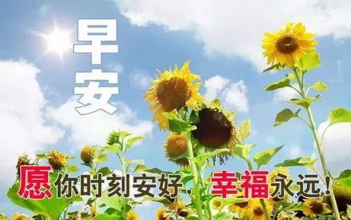 让快乐的感觉永久地持续,用我深深的祝福铸就你今生的甜蜜,早安