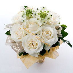 白百合 白玫瑰 白蔷薇的花语是什么 