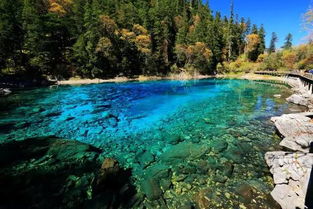 火花海水没了 九寨沟,等你归来 