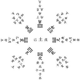 十天干十二地支全部的解释 