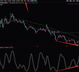 通达信周线macd底背离盘中预警选股公式