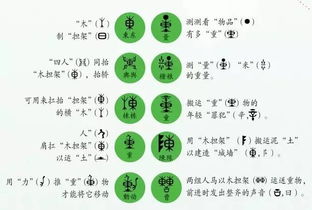 让汉字联结成树,体会不一样的识字方式 