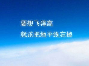 阴影与阳光名言