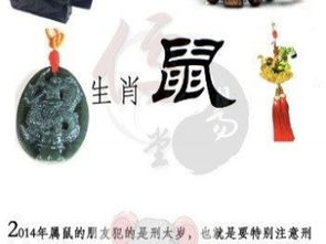 图 儒易堂 2014马年运势 温照兴 生肖运程吉祥物 上海起名风水 