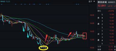 600655后期走势如何