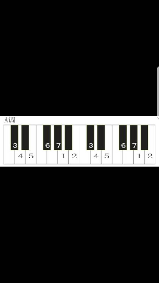 钢琴按键数字图图片