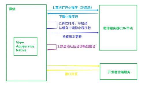 查重过程：小知识让你更了解