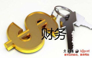 财务咨询公司起名字,财务公司取名