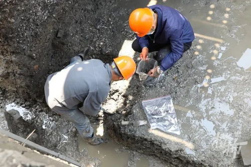 常年泡在泥水深坑里的他们向世界证明 8000年前的浙江沿海先民,是中国最早吃海鲜的人