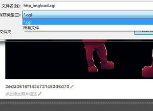 怎么打开cgi格式的图片？