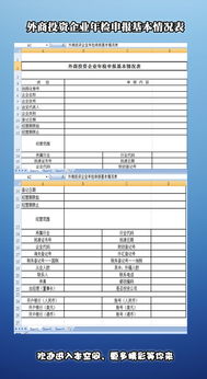 外资企业年检出资表的填写