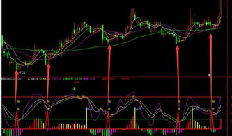 MACD、KDJ 属于未来函数吗？