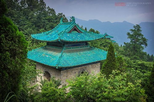 探秘 天下第一仙山 湖北武当山,现神秘高人亮真功夫 