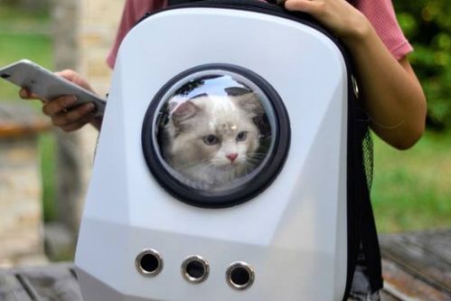 猫装在太空包里可以带进地铁吗 