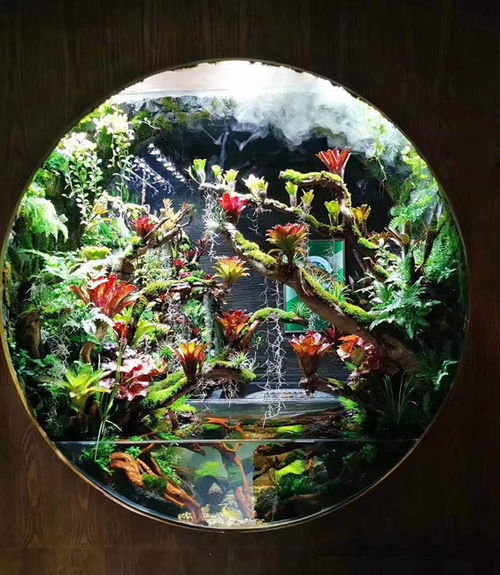 家居摆设鱼缸选哪种,我推荐问初生态雨林造景缸