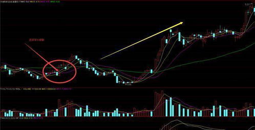 上影阳线、下影阳线与穿头破脚阳线怎样区别？拜托各位大神