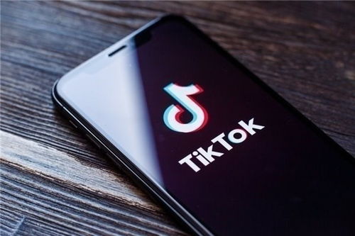 入驻tiktok_TikTok广告开户服务