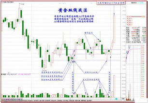 基因密集 何时涨停