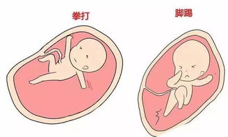 胎动？胎儿蠕动是胎动吗为什么
