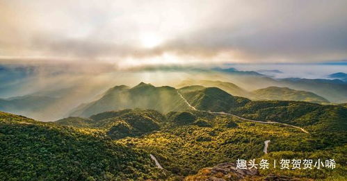 这里是广东最高的山峰,山顶的云海美成仙境,来看看你去过吗