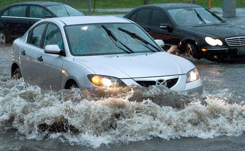 车牌为什么在暴雨中特别容易掉