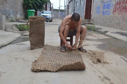 睡凉席的你,睡过茅草撇子吗 豫记