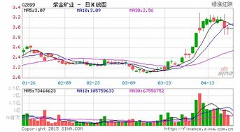 紫金矿业配售股已交款持仓里怎么没显示股票？