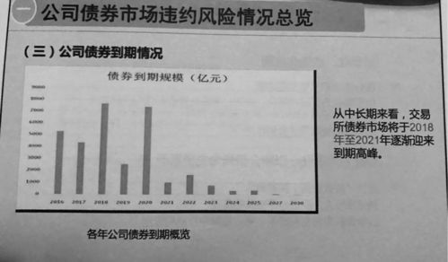 碧桂园正尽力避免人民币债务违约，日前已召开投资人座谈会