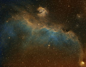 大犬座海鸥星云IC2177由深空拍摄ZWOASI天文相机用户提供