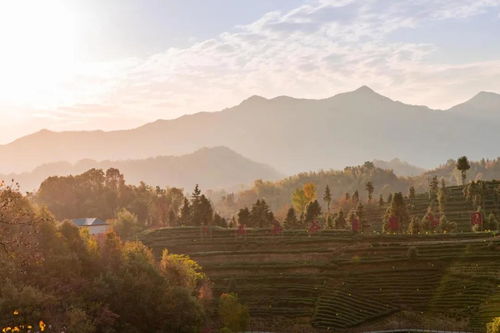 安徽旅游 穿越 华东秘境天路 ,一起邂逅金寨美景