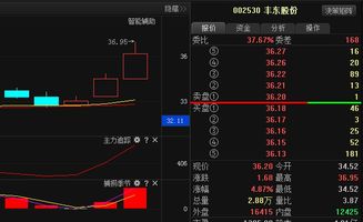 谁知道丰东股份这只股怎么样？