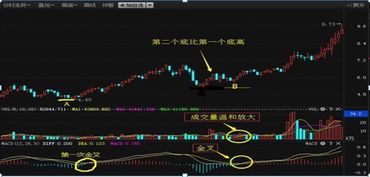 总看到书上说庄家会在成交量，技术指标和K线图上动手脚，那我们要如何识别呢？