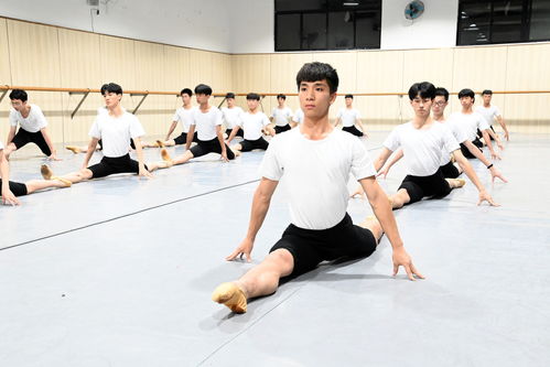 湖南师范大学舞蹈专业分数线2021