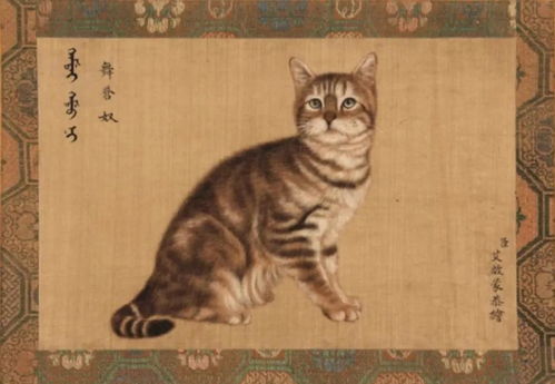 原来乾隆皇帝也是个猫奴,还一口气养了10只猫